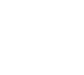 logo footer
